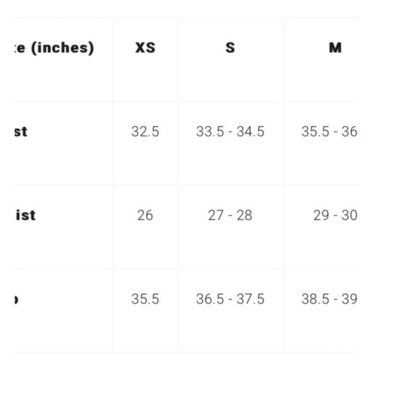 Alice + Olivia O.P.T. New Midi Dress Toile de Jouy Smocked Corset Whimsigoth - Picture 14 of 14